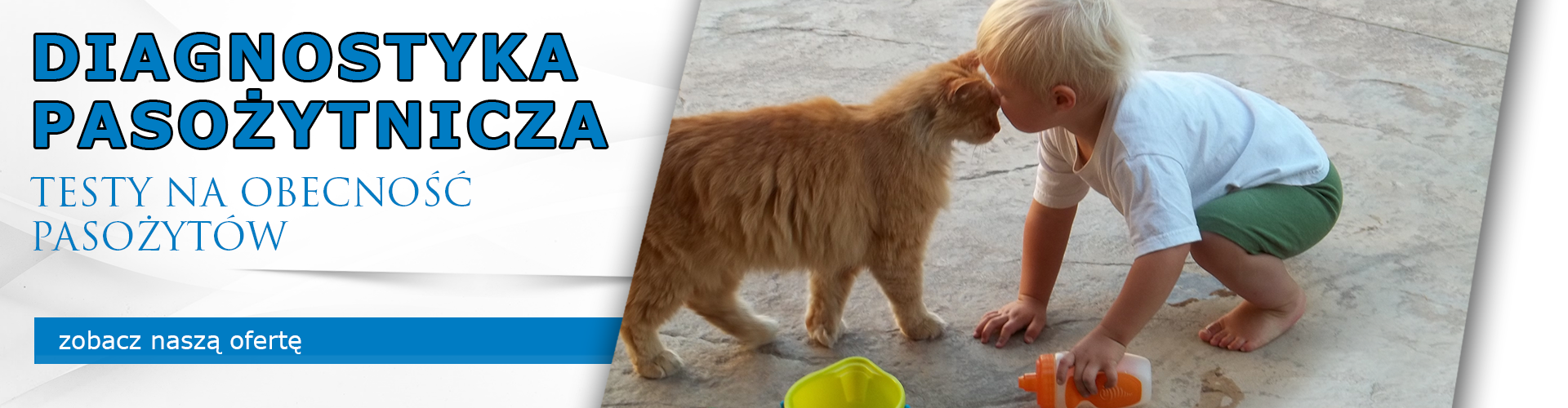zawartosc-testu,25.html